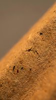 Close-up macro shot of golden brown cocoa powder with rich texture and fine particles creating natural patterns for culinary and food photography projects.
