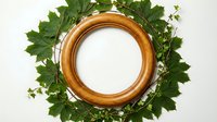 Empty wooden round frame surrounded by fresh green leaves and small white flowers on white background, suitable for nature-themed designs and botanical projects.