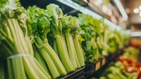 Fresh green celery stalks lined up in grocery store produce section, crisp leaves and stems arranged neatly in retail display for healthy food shopping.