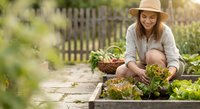 Young woman gardener in hat harvesting fresh vegetables from raised garden bed in backyard. Organic farming and sustainable living concept for healthy lifestyle.