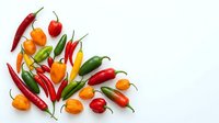 Hot chili peppers in red, orange, and yellow varieties arranged on white background, isolated for culinary design, cooking content, and food styling projects.
