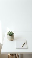 Minimalist workspace with succulent plant in ceramic pot and blank notebook on white desk for home office design and productivity concepts.