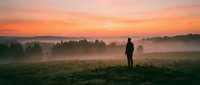 Silhouetted figure standing in misty meadow at sunrise, surrounded by fog-covered forest and golden sky, evoking solitude and contemplation in nature.