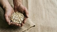 Mature man with light skin tone holding handful of shelled peanuts in cupped hands over neutral linen fabric background for food, nutrition, and healthy eating concepts.