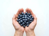 Hands holding fresh blueberries isolated on white background, ready for food and nutrition design projects.