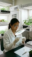 Female scientist examining plant sample with magnifying glass in modern laboratory greenhouse for botanical research and agricultural development.