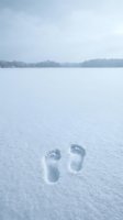 Footprints in fresh snow on frozen lake with evergreen forest and overcast sky in winter landscape.