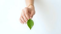 Hand holding fresh green leaf against white background symbolizing environmental care and natural sustainability concepts.