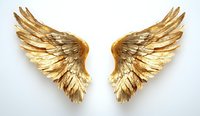 Golden metallic angel wings spread symmetrically against white background, detailed feather texture with rich sculptural relief. Suitable for luxury design projects.