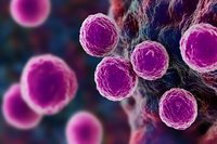 Microscopic view of bright purple spherical bacterial cells or virus particles floating in dark space with glowing effects, scientific medical visualization.
