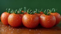 Fresh cherry tomatoes with water drops lined up on dark green background, macro photography showing vibrant red color and natural texture of ripe vegetables.