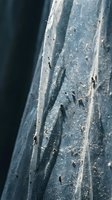 Worn tire tread with deep cracks and debris showing signs of aging and deterioration requiring replacement for road safety.