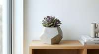 Modern geometric concrete planter with purple succulent on wooden shelf near window. Minimalist home decor and interior design element for contemporary living spaces.