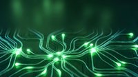 Glowing green neural network connections with flowing energy pathways and bright nodes on dark background for technology and AI concepts.