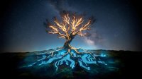 Mystical glowing tree with luminous roots under starry night sky and Milky Way galaxy creating magical fantasy landscape for spiritual and nature themes.