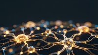 Interconnected golden neurons with glowing nodes and synaptic connections on dark background, representing artificial intelligence, neural networks, brain activity, and digital communication for technology and science concepts.