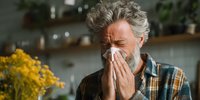 Senior man with gray hair blowing nose into tissue near yellow flowers in kitchen, suffering from seasonal allergies or hay fever.