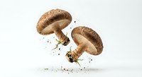 Fresh shiitake mushrooms falling with soil particles on white background, organic natural food ingredients for cooking and healthy nutrition.