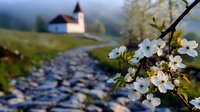 Spring blossoms frame winding stone path leading to small chapel on hilltop, white flowers in foreground against blurred pastoral landscape at dawn.