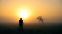Silhouetted figure standing in misty field at sunrise, contemplating solitary tree on horizon. Suitable for motivational, inspirational, and wellness content.