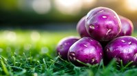 Fresh purple potatoes on green grass in natural sunlight with soft bokeh background, organic farm produce showcasing vibrant color and texture.