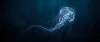 Bioluminescent jellyfish with trailing tentacles glowing in deep ocean darkness, suitable for marine science, underwater exploration, and aquatic design projects.