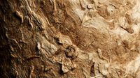 Natural wood grain texture with deep grooves and weathered surface patterns for rustic design projects and organic material backgrounds.