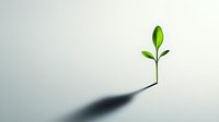 Young green sprout growing from white surface casting long shadow, representing growth, new beginnings and hope. Minimalist composition on light background.