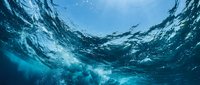 Underwater ocean view with sunlight rays penetrating deep blue water surface creating dramatic lighting effects for marine and aquatic themed designs.