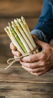 Fresh white and green asparagus spears bundled with twine, held by male farmer hands in casual blue shirt against rustic wooden surface for cooking and agriculture themes.