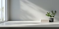 Minimalist interior with small green plant in black pot on white surface, sunlight casting soft shadows through window, creating serene atmosphere.