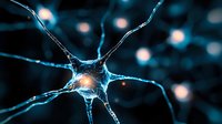 Glowing neuron cell with synaptic connections on dark background showing neural network activity and brain cell communication in blue tones with bokeh light effect.