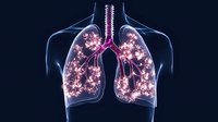Glowing pink cherry blossom branches inside translucent blue human lungs against dark background, creative medical visualization of respiratory system and nature concept.