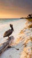 Pelican perched on driftwood at tropical beach during golden hour sunset with palm trees and turquoise ocean waves creating serene coastal paradise scene.