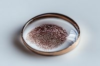 Magnified fingerprint pattern in petri dish on light background, forensic science concept for crime investigation and biometric identification analysis.