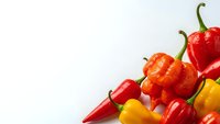 Colorful fresh chili peppers in red, orange and yellow varieties arranged on white background for culinary and cooking projects.