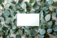 Blank white card on natural eucalyptus leaves background, creating organic frame for wedding invitation or business branding.