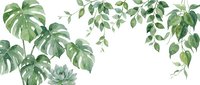 Watercolor tropical leaves border frame with monstera and eucalyptus foliage on white background for botanical design projects and natural decor.