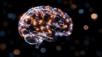 Glowing brain outline with neural connections and light effects on dark background showcases intelligence, cognition and mental activity in medical science.