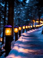 Illuminated lanterns line snowy winter path through forest at dusk, creating magical atmosphere with warm glowing lights against cool blue evening shadows.