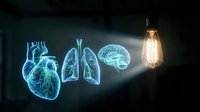 Glowing blue anatomical organs heart lungs brain illuminated by vintage light bulb on dark background medical education concept.