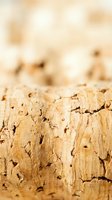 Cork bark texture with natural ridges and cracks in warm tan tones, shallow depth of field. Suitable for backgrounds, nature designs, and material textures.