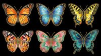 Isolated butterfly collection featuring six colorful species on transparent background. Ready for t-shirt design, clipart, stickers, sublimation, print-on-demand products and digital crafts.