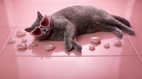 Gray cat wearing heart-shaped sunglasses lying on pink tiled floor surrounded by scattered rose petals for Valentine's Day romance concept.