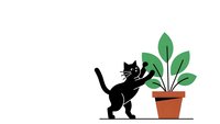 Black cat silhouette playing with green houseplant in terracotta pot on white background. Playful pet behavior concept for home decor and animal lovers.