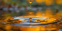 Mesmerizing water drops creating concentric ripples on golden liquid surface with suspended droplets captured in mid-air against blurred warm background.