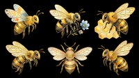 Honey bee collection in various poses and angles, isolated on transparent background. Ready for t-shirt design, clipart, stickers, print-on-demand products, and sublimation projects.