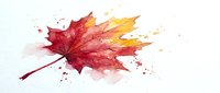 Watercolor autumn maple leaf in vibrant red and yellow hues with artistic paint splatters on white background for seasonal design projects.