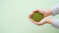 Person with light skin tone holding handful of green lentils against pale green background, representing organic legumes, healthy nutrition, and sustainable food sourcing for culinary and wellness projects.