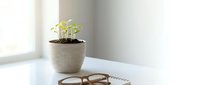 Young green seedlings growing in ceramic pot on white desk with eyeglasses and notebook in bright office workspace for sustainable business concepts.